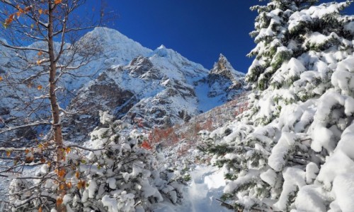 Zdjecie POLSKA / Tatry wysokie / Morskie Oko - Szpiglasowa / TATRY