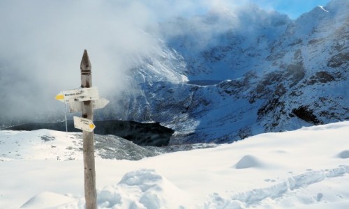 Zdjcie POLSKA / Tatry wysokie / Morskie Oko - Szpiglasowa / TATRY
