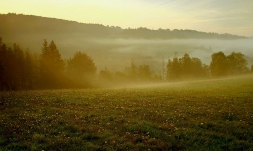 Zdjcie POLSKA / Beskid lski / Wisa / Pooniny Beskidu lskiego