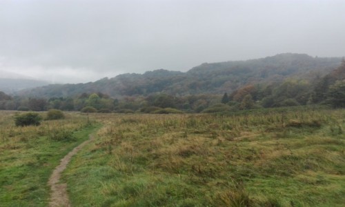 Zdjcie POLSKA / Bieszczady / Wetlina / W drodze na Poonin Wetlisk