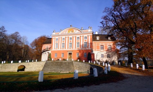 Zdjcie POLSKA / witokrzyskie / Kurozwki / - zamek w Kurozwkach -