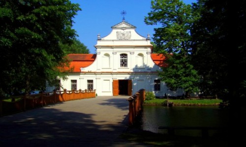 Zdjecie POLSKA / lubelskie  / Zwierzyniec / - kociek na wodzie -