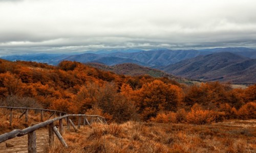 Zdjecie POLSKA / Bieszczady / Bieszczady / Jesie w Bieszczadach