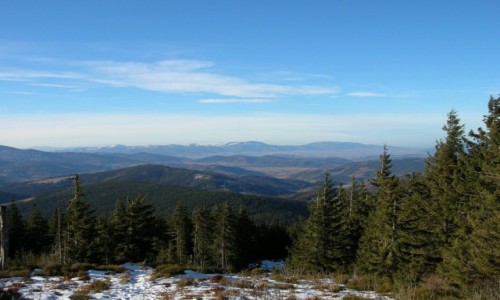 Zdjęcie POLSKA / Beskid Żywiecki / Pod Cylem / Widok w stronę Skrzycznego