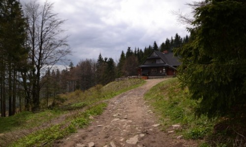 Zdjcie POLSKA / Beskid ywiecki / Hala Krupowa / Schronisko 