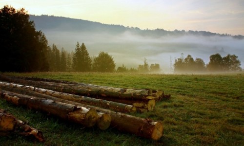 Zdjcie POLSKA / Beskid lski / Wisa / Okolica w chmurach i we mgle