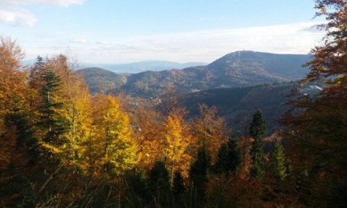 Zdj�cie POLSKA / Beskid �l�ski / Widok z Klimczoka na Skrzyczne / Jesie� w Beskidach