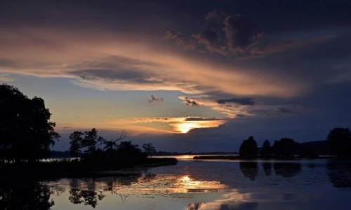 Zdjecie POLSKA / Mazowsze / NAREW / PIKNO MAZOWSZA