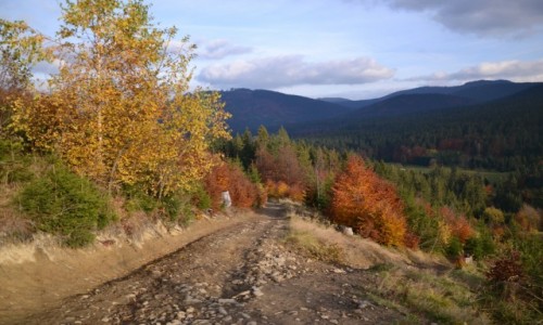 Zdjecie POLSKA / Beskid ywiecki / Pod Rycerzow / Droga