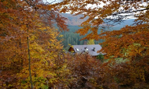 Zdjecie POLSKA / Beskid ywiecki / Gdzie pod Rycerzow / Zagubinowo