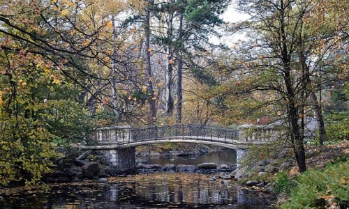 Zdjecie POLSKA / Warszawa / Park Ujazdowski / jesie w Warszawie
