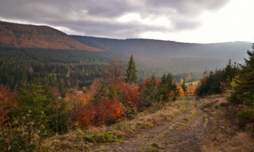 Zdjecie POLSKA / Beskid ywiecki / Pod Rycerzow / Droga, by moe z rozdroami;-)