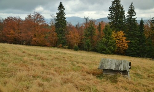 Zdjcie POLSKA / Beskid ywiecki / Rycerzowa / Hala po sezonie