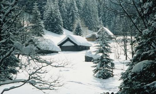 Zdjecie POLSKA / TATRY / DOLINA STRĄŻYSKA / BIAŁO W DOLINIE