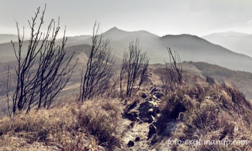 Zdjecie POLSKA / Bieszczady / Bieszczady / Poonina