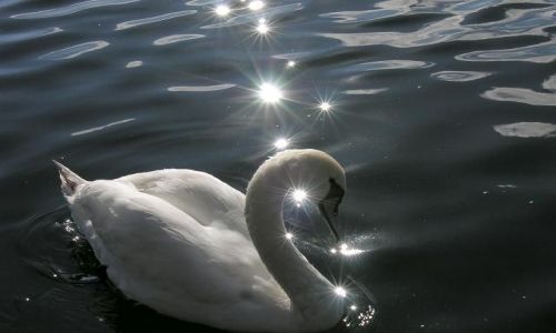 Zdjęcie POLSKA / KRAINA WIELKICH JEZIOR / MOJTYNY / W BLASKU SŁOŃCA