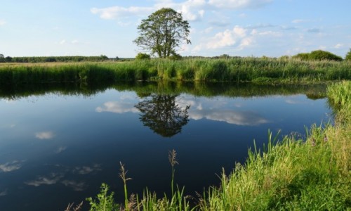 Zdjecie POLSKA / Biebrzaski Park Narodowy / Jagowo, woj. podlaskie / Widok na rzek w okolicach Jagowa