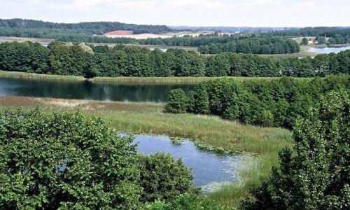 Zdjcie POLSKA / POJEZIERZE SUWALSKIE / WIGRY / JEZIORA