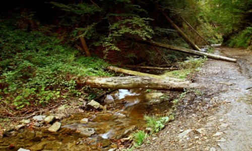 Zdjcie POLSKA / Beskid lski / Wisa Czarne / Kaskady na Biaej Wisece