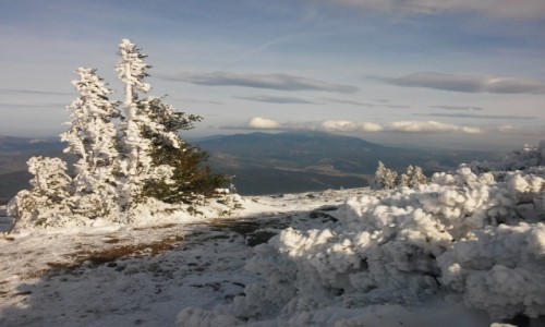 Zdjcie POLSKA / beskid ywiecki / masyw Pilska / widok z Pilska na Babi Gr