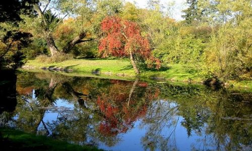 Zdjecie POLSKA / brak / ŻELAZOWA WOLA / BARWY JESIENI