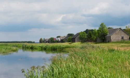 Zdjecie POLSKA / Biebrzaski Park Narodowy / Jagowo, woj. podlaskie / Jagowo - wie na wydmie wrd torfowisk