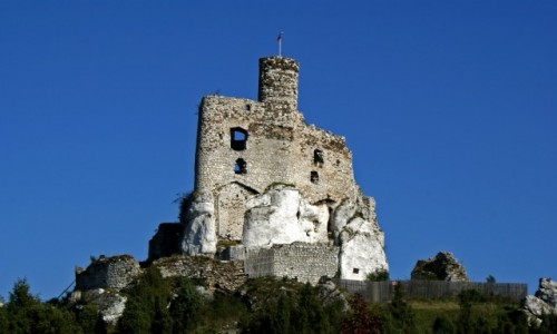 Zdjecie POLSKA / Jura Krakowsko-Czstochowska / Mirw / Zamek w Mirowie