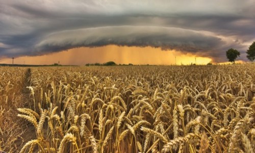 Zdjecie POLSKA / warmia  / BRANIEWO  /  letnie burze na  Warmii 