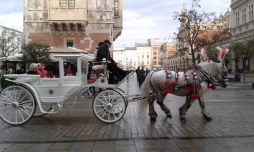 Zdjęcie POLSKA / Małopolska / Krakowski Rynek / Kraków przed nocą