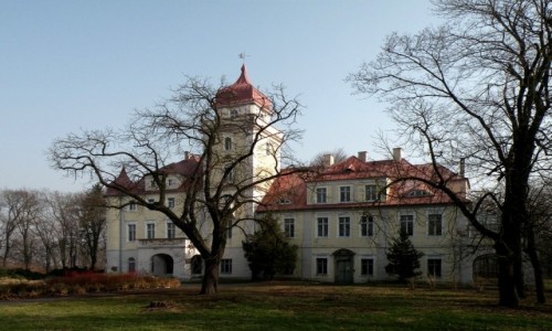 Zdjecie POLSKA / opolskie / Dbrwka Grna / Paac w Dbrwce Grnej