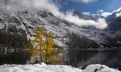 Zdjecie POLSKA / maopolska / Tatry / Morskie Oko