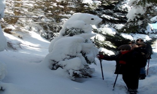 Zdj�cie POLSKA / dolno�laskie / Mi�dzyg�rze / Spotkanie ze �nie�nym nied�wiedziem.