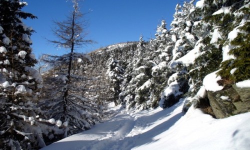 Zdj�cie POLSKA / dolno�laskie / Mi�dzyg�rze / Szlak na �nie�nik