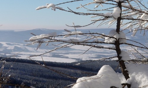 Zdj�cie POLSKA / dolno�laskie / Mi�dzyg�rze / Widok na g�ry w Czechach