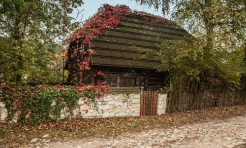 Zdjecie POLSKA / lubelskie / Mimierz / Mimierska chaupa...