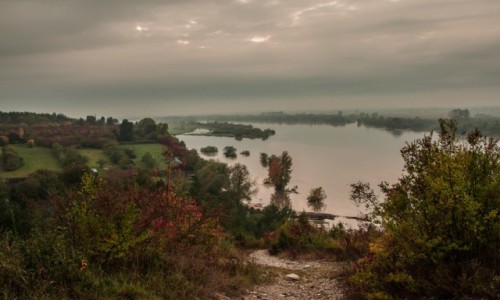 Zdjecie POLSKA / lubelskie / Mimierz / Rezerwat Krowie Wyspy