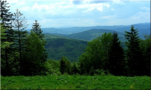 Zdjecie POLSKA / Beskid lski / gra / Widok z Czantori
