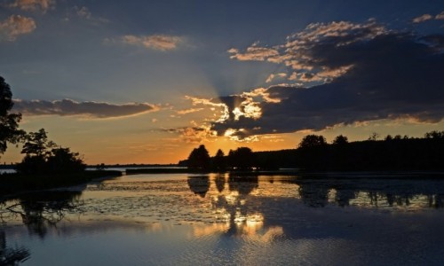 Zdjcie POLSKA / Mazowsze  / Narew / Z cyklu Pikno Mazowsza