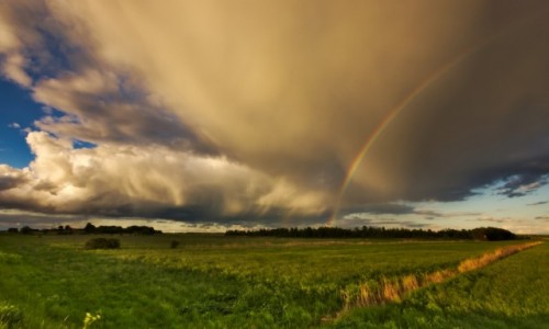 Zdjcie POLSKA / warmia  / BRANIEWO  / lato na Warmii