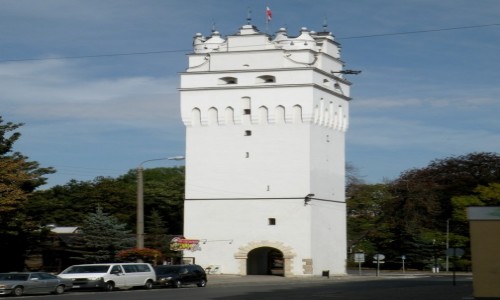 Zdjcie POLSKA / opolskie / Nysa / Wiea bramna