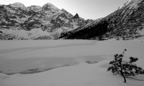 Zdjcie POLSKA / Tatry / Morskie Oko  / W bieli