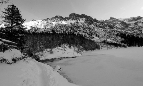 Zdjcie POLSKA / Tatry / Morskie Oko  / W drodze nad Czarny Staw