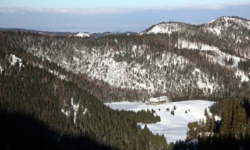 Zdjecie POLSKA / Tatry / Mylenickie Turnie / Polana Kalatwki