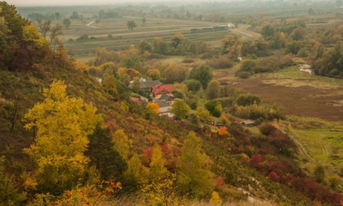 Zdjecie POLSKA / lubelskie / Skarpa Dobrska / Przeom Wisy