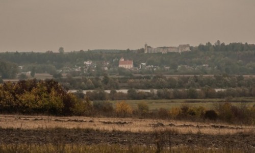 Zdjecie POLSKA / lubelskie / Skarpa Dobrska / Rzut okiem  na Janowiec