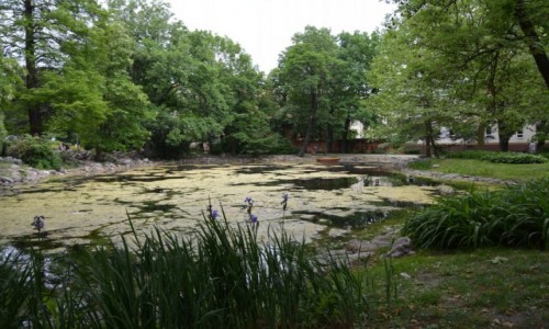 Zdjcie POLSKA / centrum Bydgoszczy / Bydgoszcz / Park Kazimierza Wielkiego