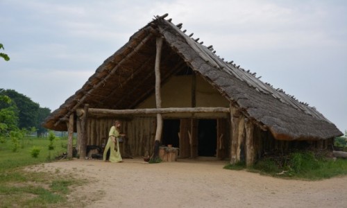 Zdjcie POLSKA / kujawsko-pomorskie, powiat niski, gmina Gsawa / Stanowisko archeologiczne w Biskupinie / Biskupin