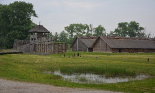 Zdjcie POLSKA / kujawsko-pomorskie, powiat niski, gmina Gsawa / Stanowisko archeologiczne w Biskupinie / osada w Biskupinie