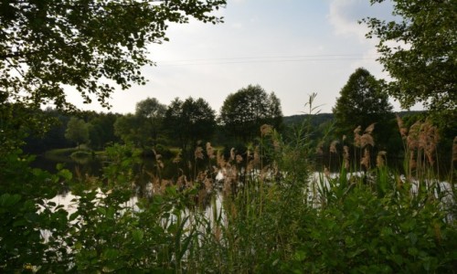 Zdjcie POLSKA / kujawsko-pomorskie / Mylcinek / najwikszy park miejski w Polsce