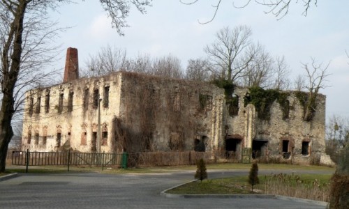 Zdjecie POLSKA / opolskie / Zakrzw / Ruina zamku Templariuszy